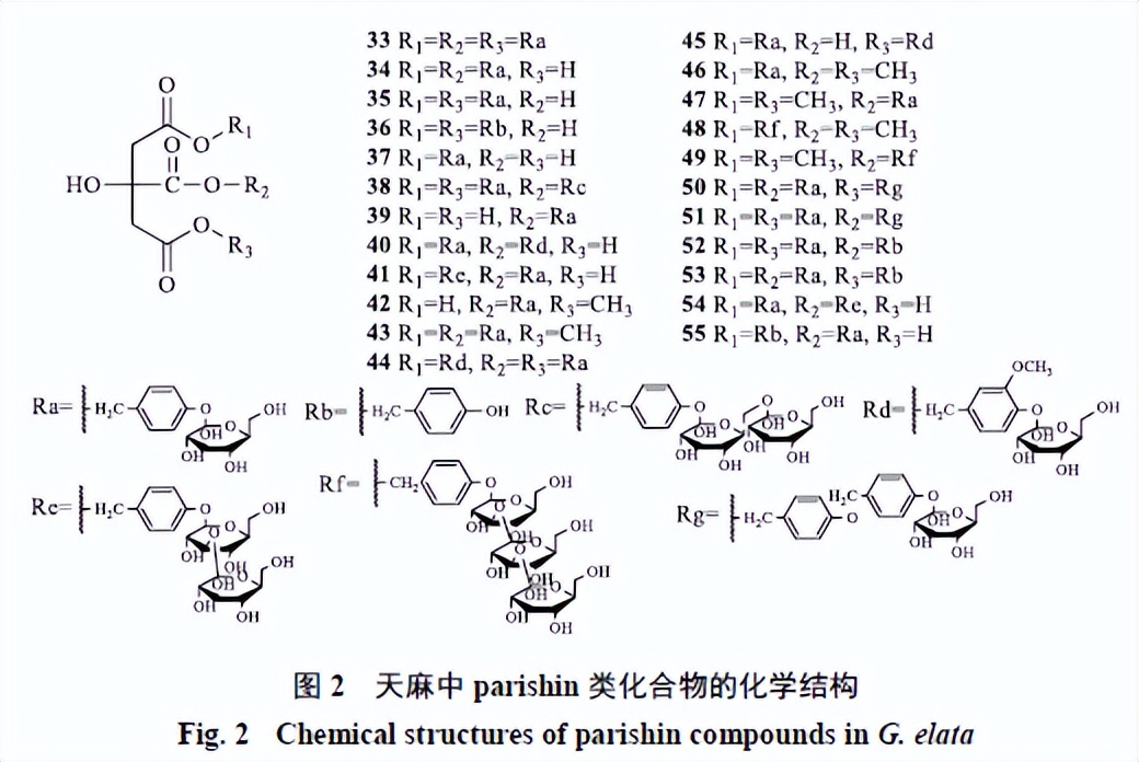 天麻的主要化学成分为什么类,天麻的主要化学成分是什么