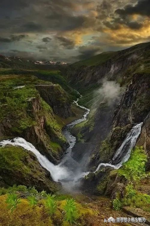 五谷丰登六畜兴旺完整视频,说文解字五谷