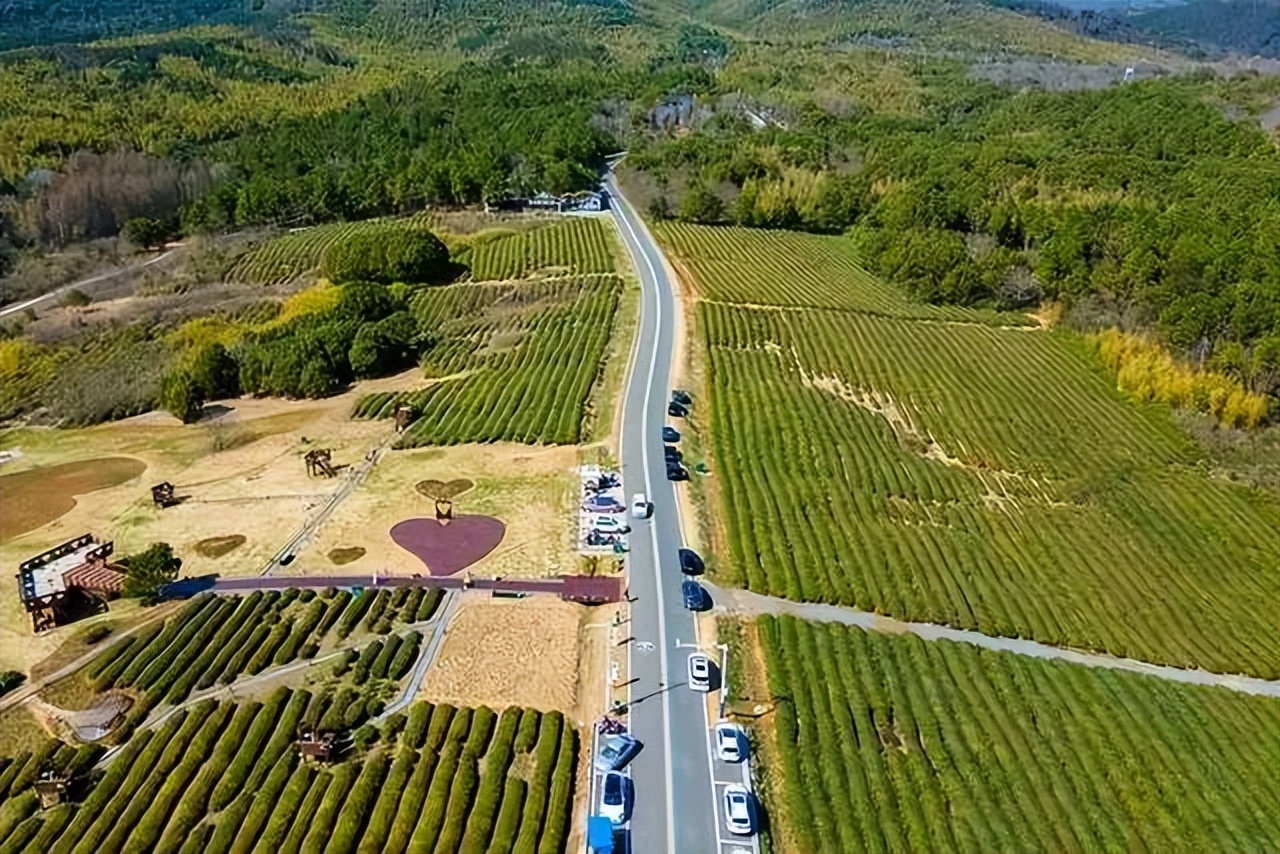 南山竹海御水温泉竹溪谷酒店,御水温泉竹溪谷酒店赏竹