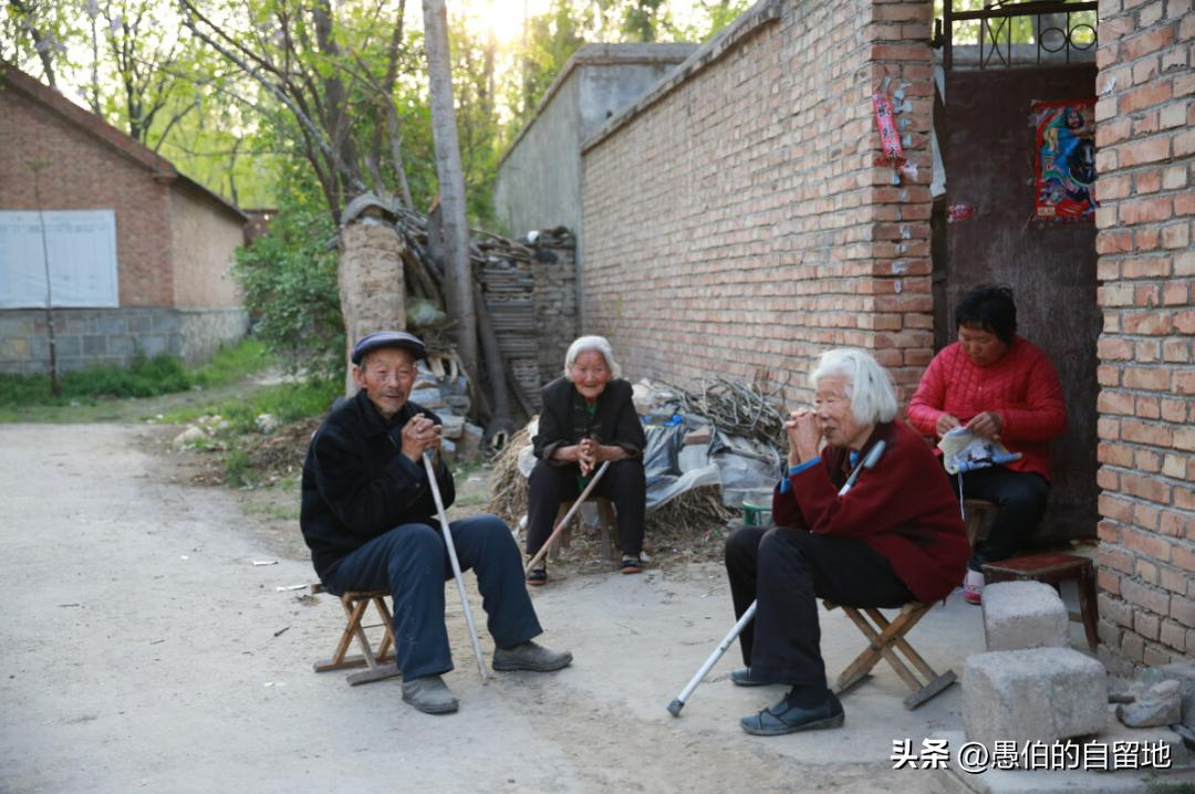 孙大妈的最新视频,孙大妈真实事件