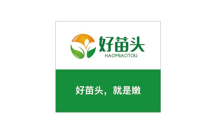 龙行营销的成功案例,龙行营销