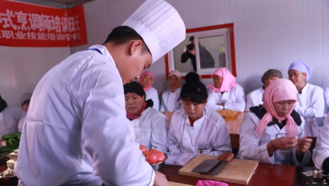 职教新生：为何选择回归炉灶，得到了什么宝贵经验？