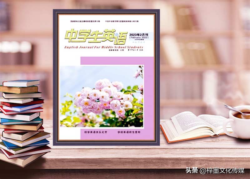 英语期刊推荐高中生,英语学习期刊投稿