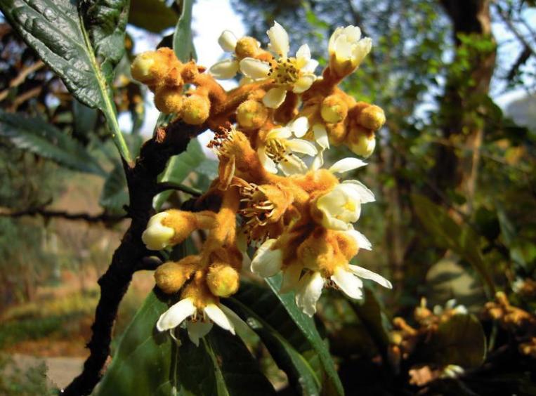 妈妈的味道是什么?这些回答戳心了