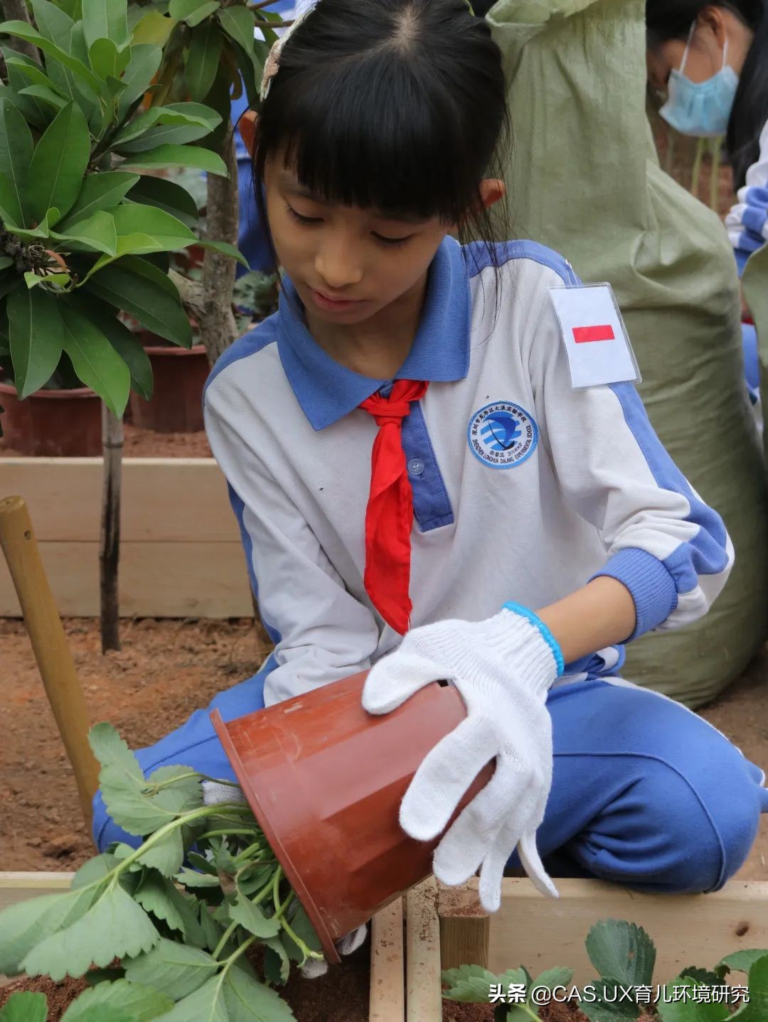 CAS儿童空间|生命花园:在校园屋顶打造感知自然的实验场