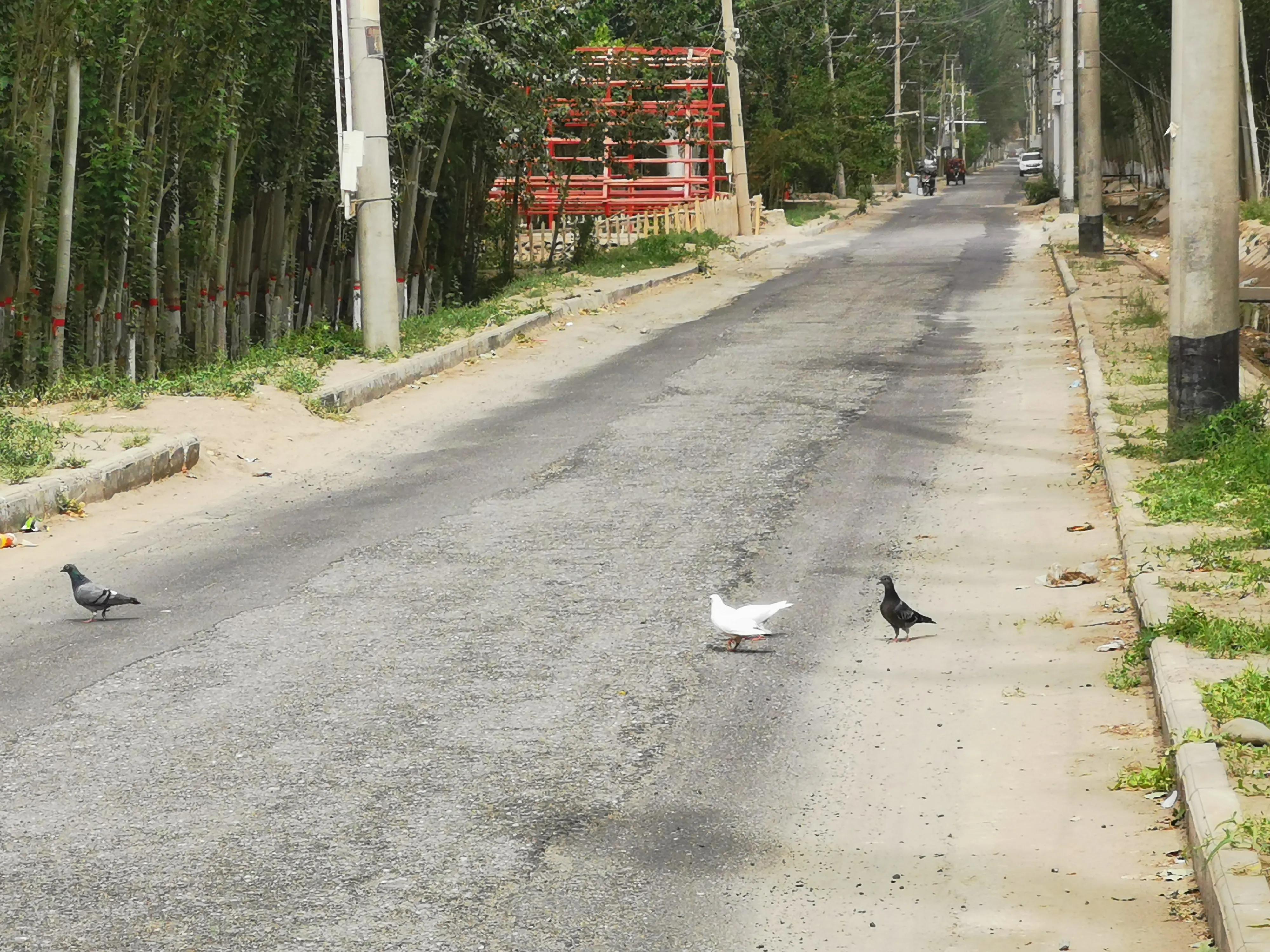 骑行新疆喀什噶尔,和田至阿拉尔沙漠公路骑行攻略