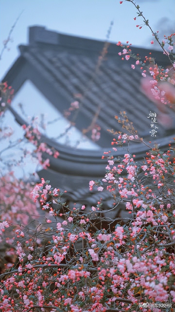 安慰顾城摘抄句子,亦是顾城文案句子摘抄