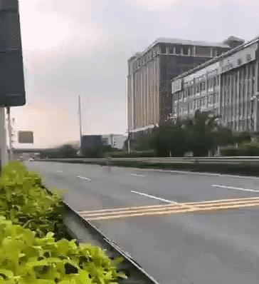 一七年让代购买的漫画，昨天联系我说他出来了，问我书还要不要