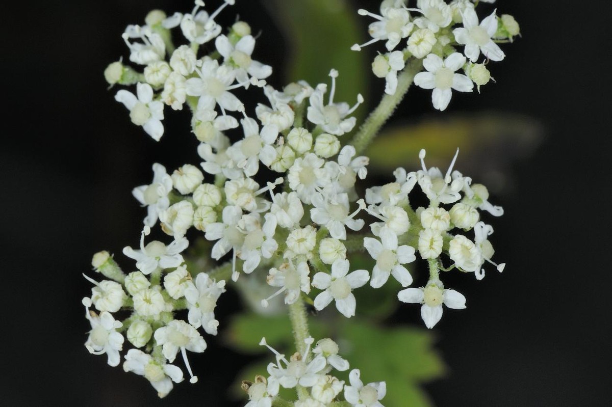 全州县天湖风光图片,桂林全州天湖旅游风光摄影