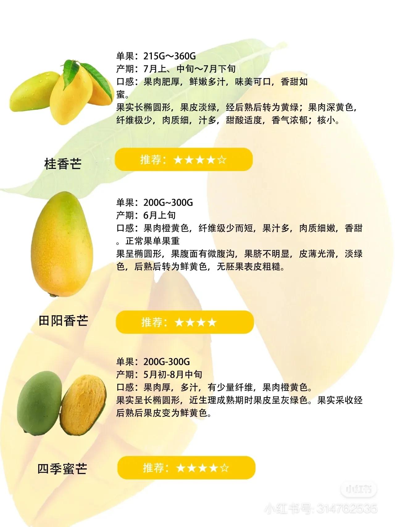 常见芒果的区别及口感,常见芒果的区别