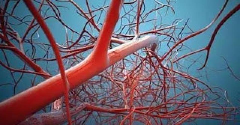 核桃是血管天然清道夫,核桃是生吃去瘀血还是熟吃的有效