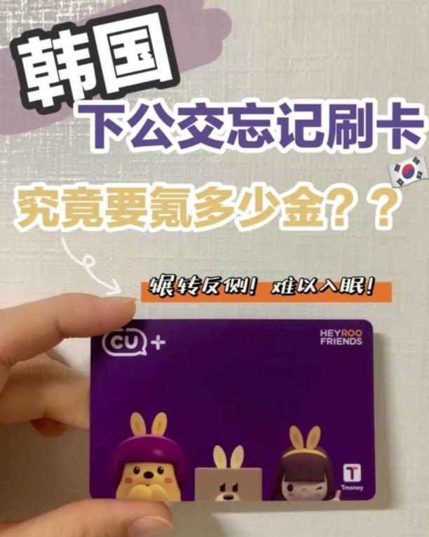 韩国下车忘记刷卡后果,在韩国乘车下车没刷卡怎么办