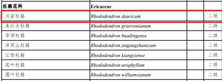 这种花千万别养,这种花有毒不要用手碰它