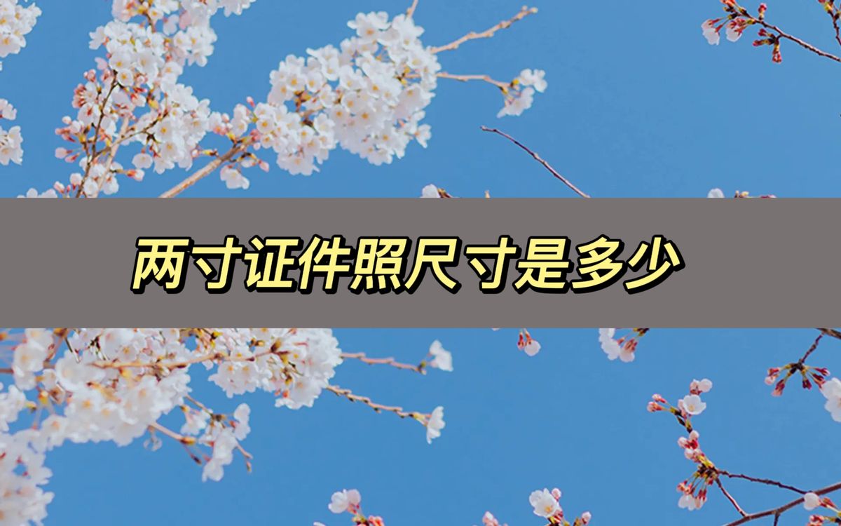 两寸免冠证件照尺寸,ps两寸证件照尺寸是多少
