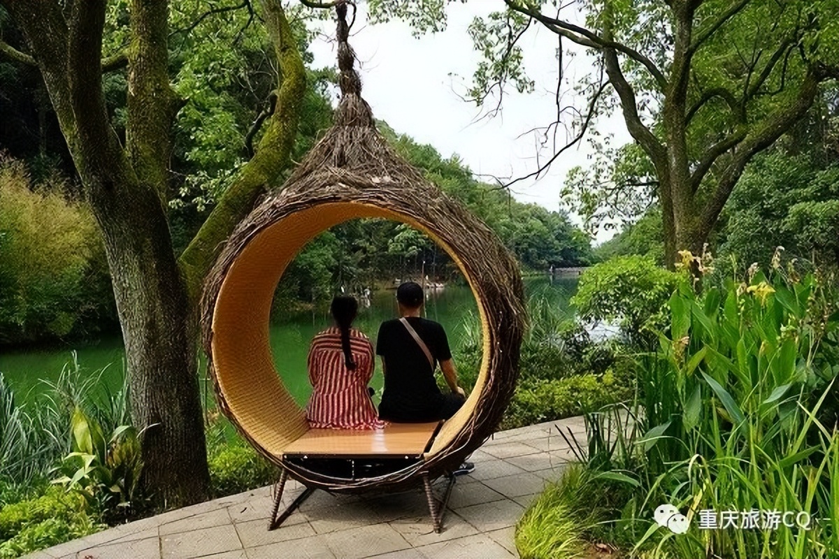 冬日游缙云山,缙云山冬日一日游详细攻略