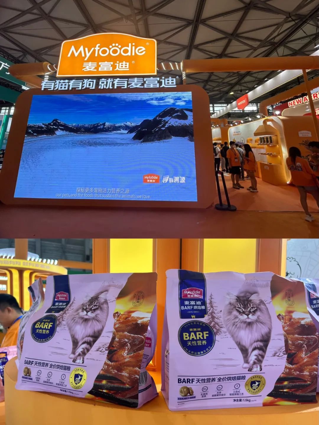 第25届亚洲宠物博览会夜场有什么,第24届亚洲宠物博览会举办时间