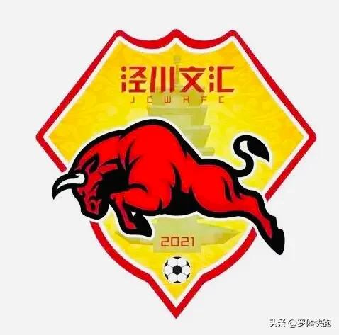 泾川文汇北京国安球迷,甘肃泾川文汇队战胜北京国安队