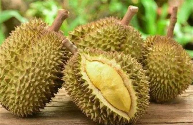 榴莲怎么挑才能挑到最好吃的榴莲,榴莲怎么挑才能挑到好吃的