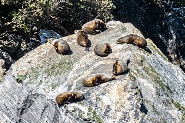 坐大巴环游中国111天,国内到新西兰游攻略