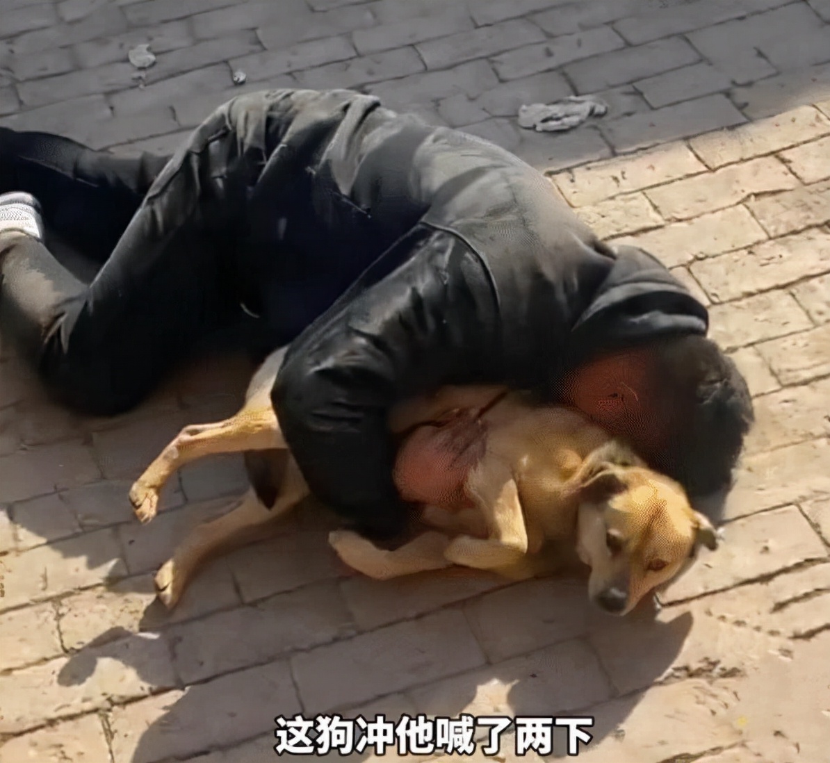 河北邯郸男子喝醉抱狗,河北邯郸男子酒后抱着狗