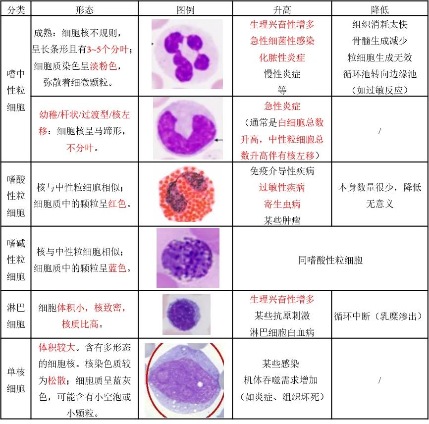 兽医临床诊断学名词解释,兽医临床诊断学教学视频