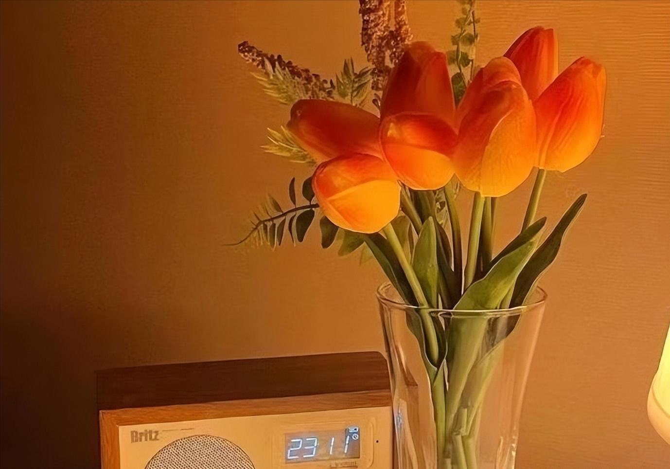 有远见的女人有出息吗,远见的女人都懂得给自己留条后路