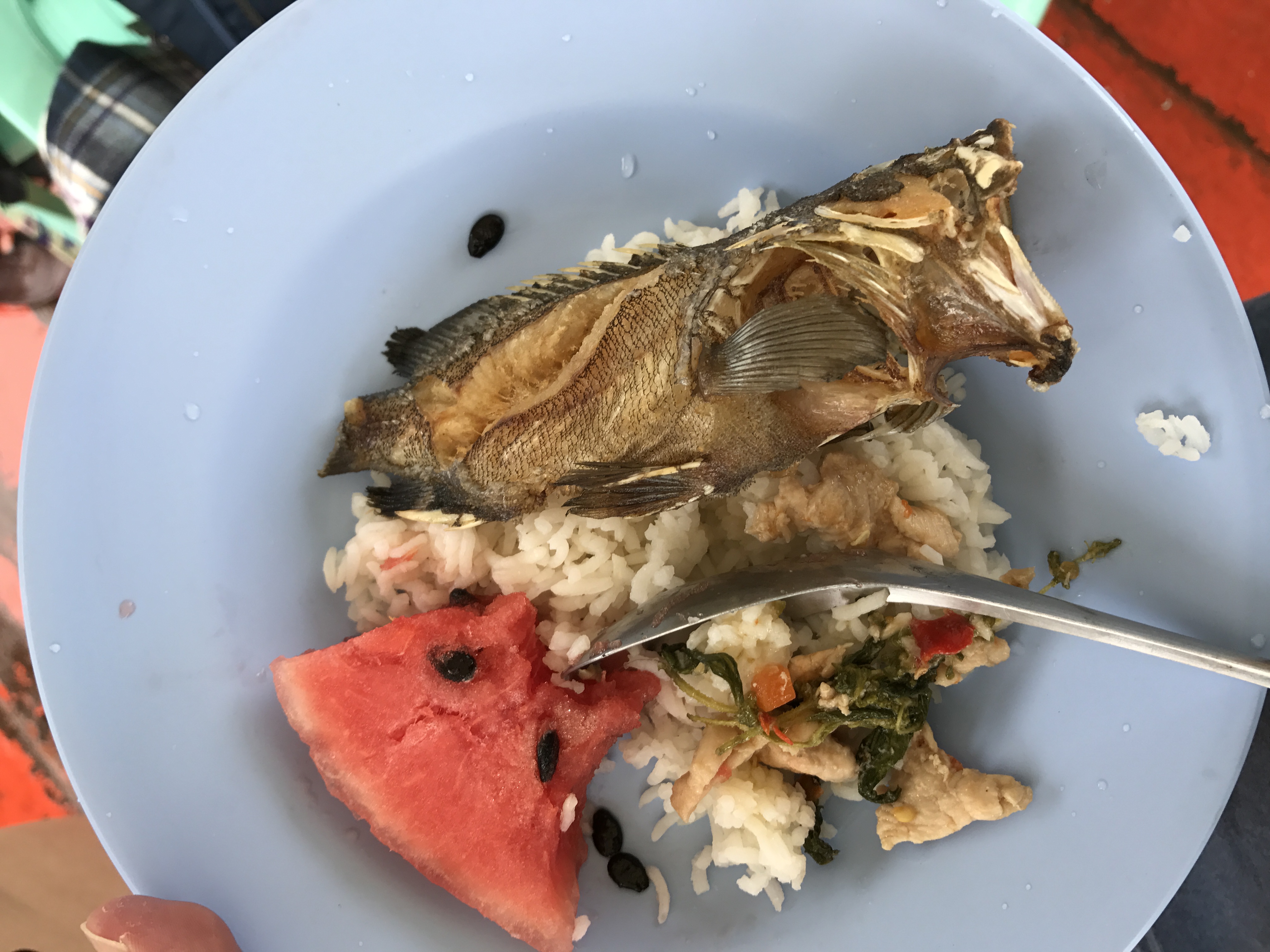 泰国旅游攻略海岛浮潜,泰国象岛跟团游