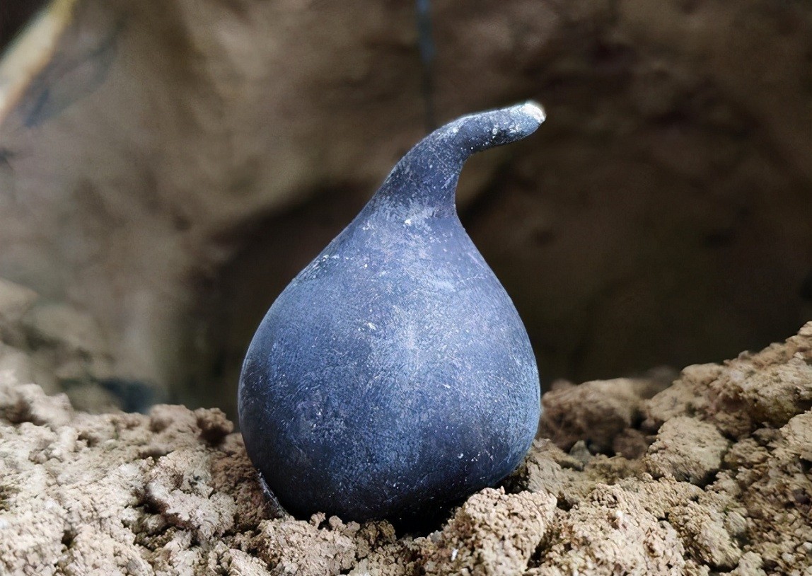 白蚁家族中的大熊猫,白蚁培育的黑色菌类