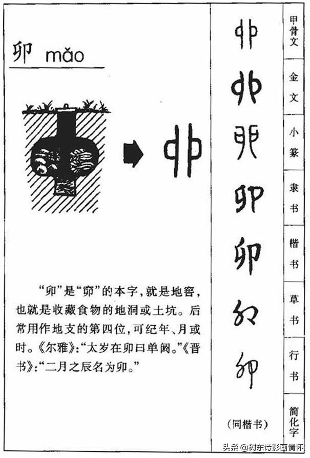 树东说文解字“卯”，寅吃卯粮与竭泽而渔、杀鸡取卵的区别