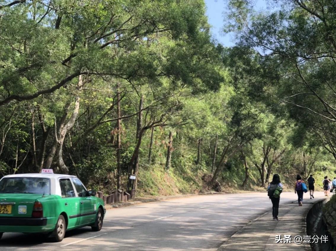 粤港澳大湾区全域旅游综合开发,粤港澳大湾区旅游业的发展
