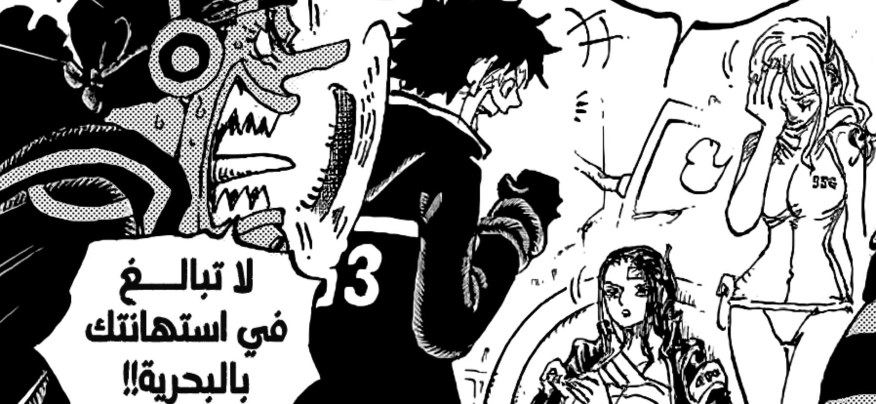 海贼王1030话情报路飞与凯多,海贼王1090话情报全文