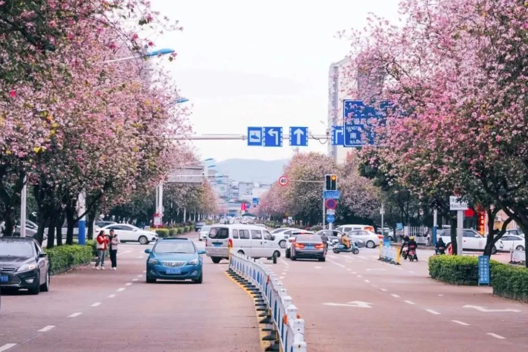 打飞的都要去坐的动车,怎么每站都这么好看