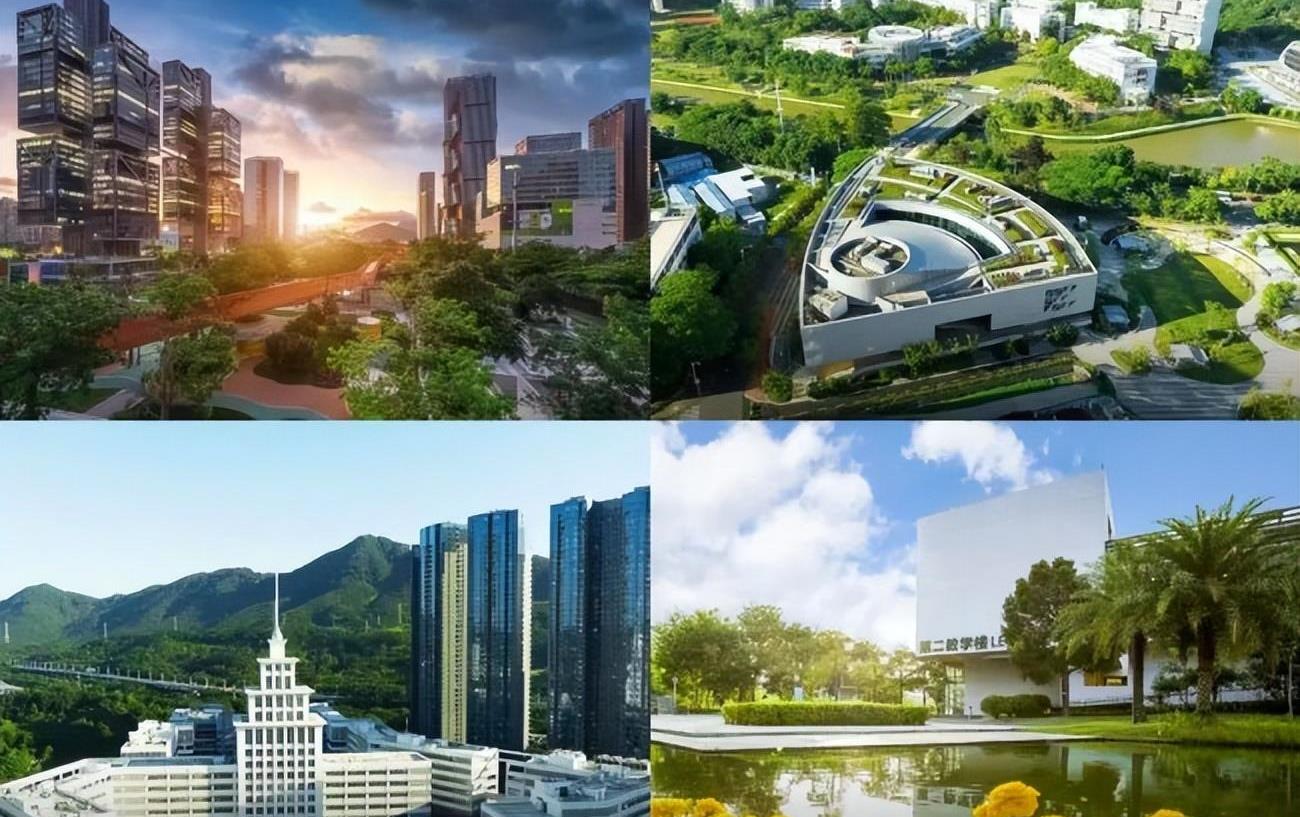 创新与可持续发展,西丽湖举办青年创新创业论坛