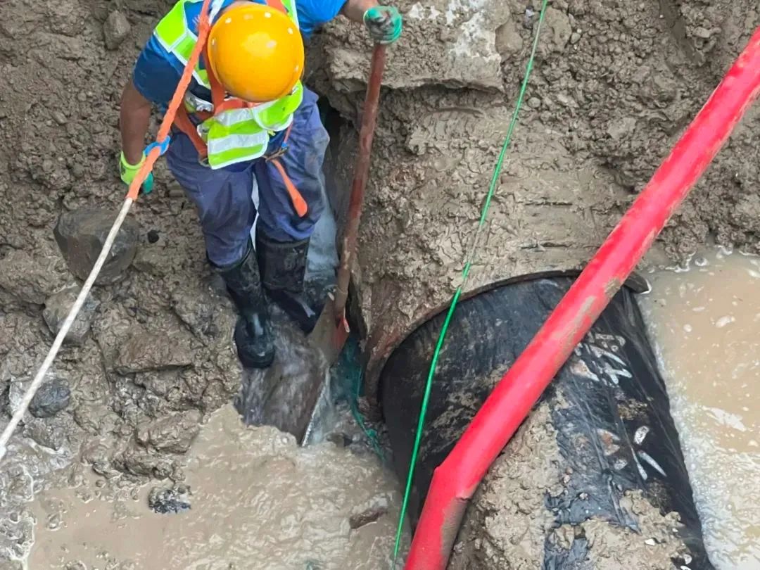 郑州航空港站今日开通运营/天气有变！郑州最新发布/郑州消费券今天又来了/河南公布暑期学生免门票景区名单