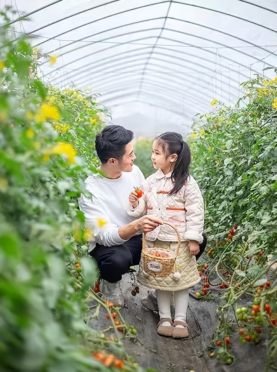 鼓浪屿往返船票线上售罄 (厦门鼓浪屿船票售罄还能买到吗)