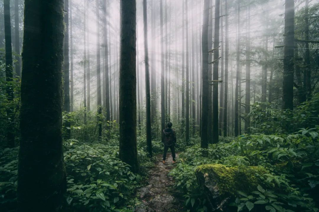 昆明七彩云南怎么样,七彩云南避暑家园