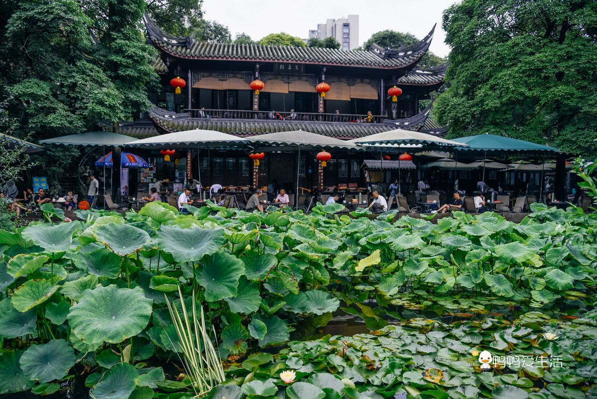 四川成都10个必去景点，烟火气十足的旅途