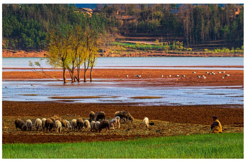 周崇光介绍,周崇光图文