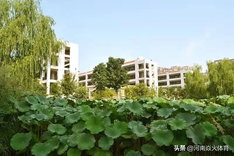 中考志愿第一批次有哪些学校,中考分数怎么预估你能上哪所高中