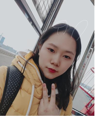 大连东软信息学院智能医学专业,大连东软信息学院物联网