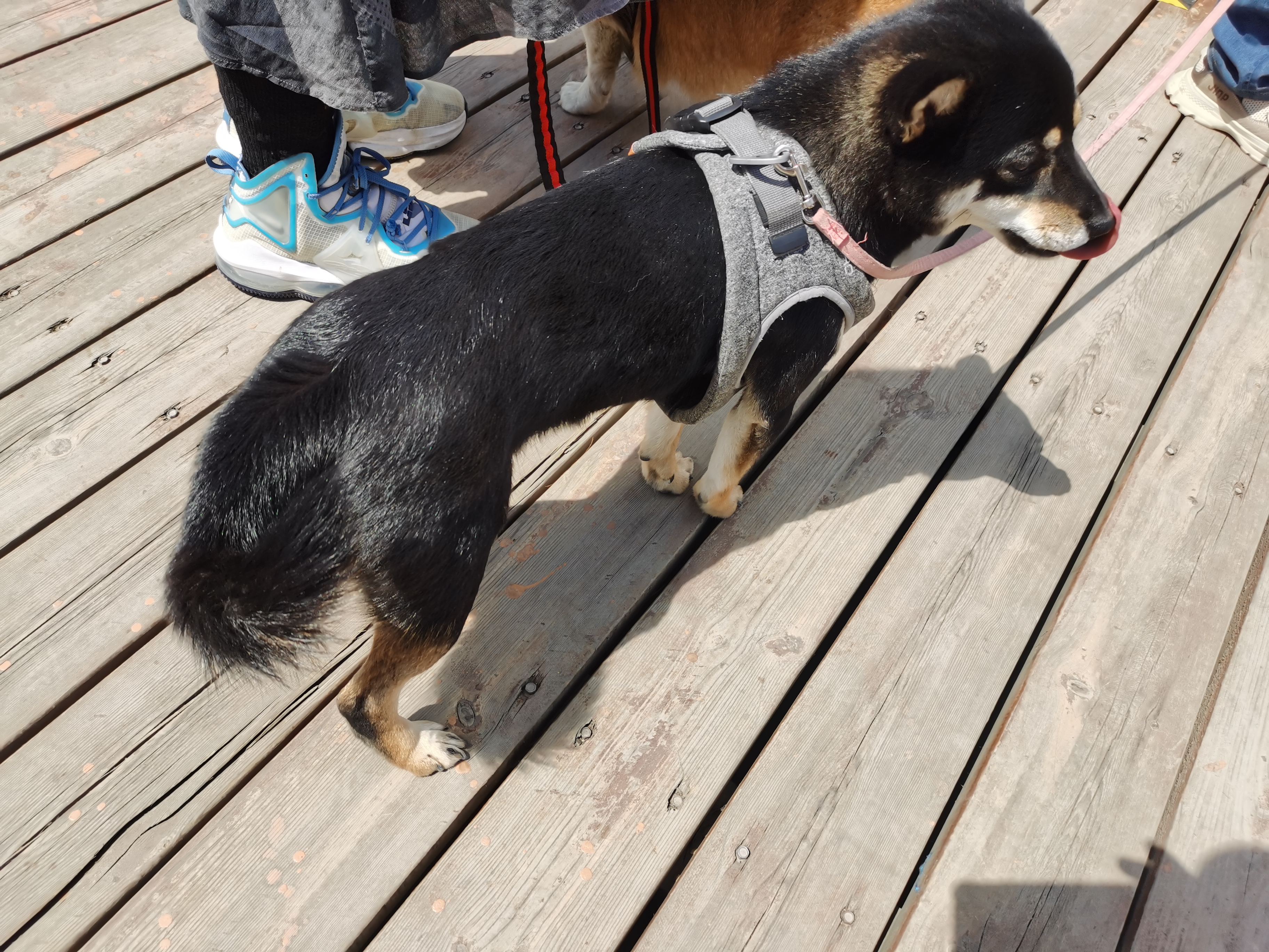 黄花城水长城旅游攻略,行走万里长城之旅