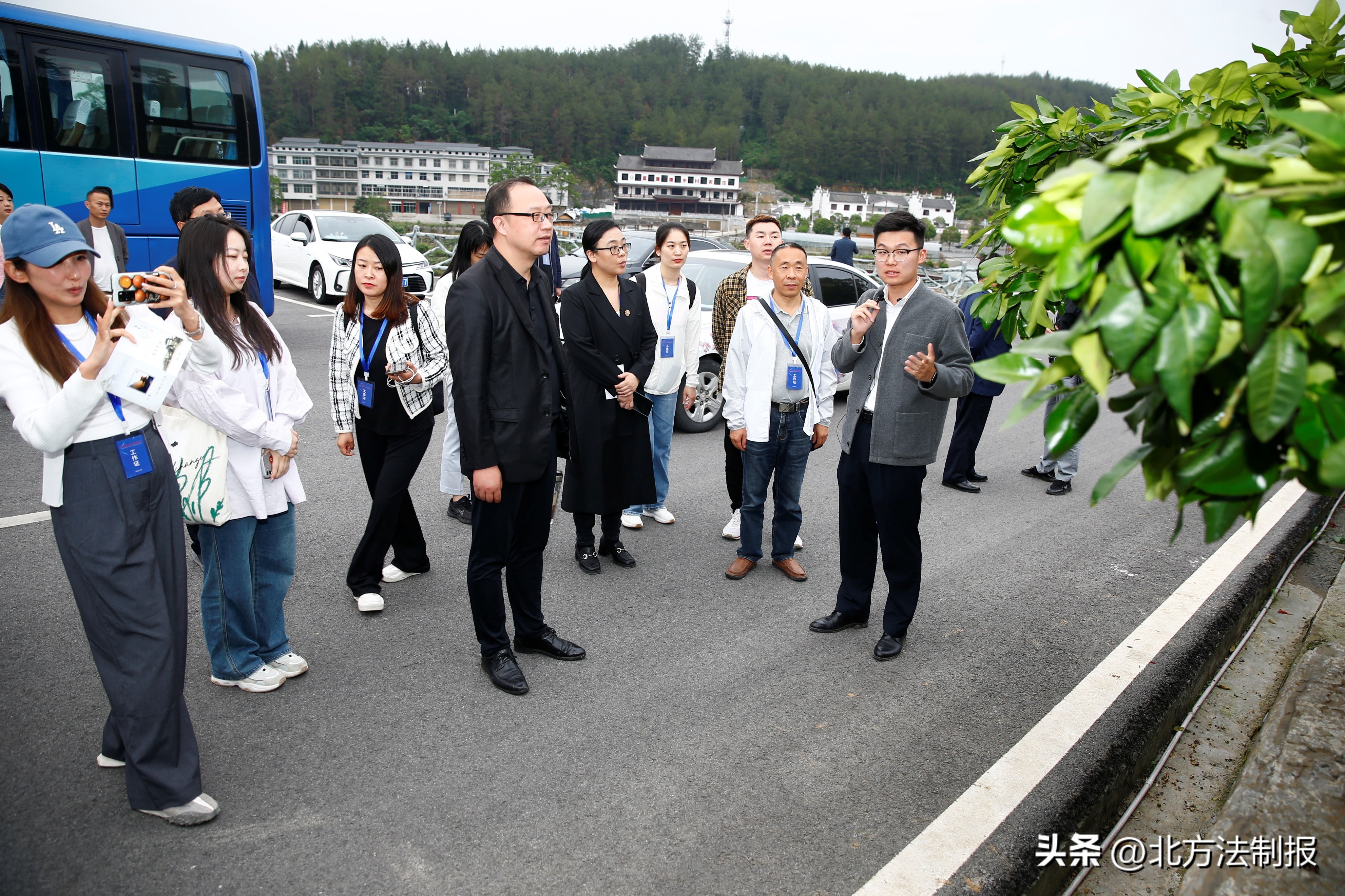 三治融合乡村基层治理,三治并举推动乡村善治
