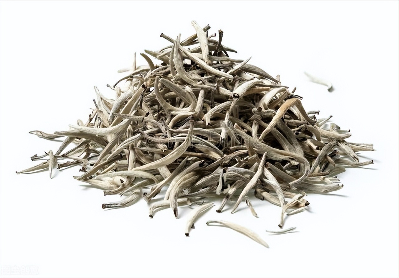 茶的分类和基础知识老白茶,绿黄白茶基础知识