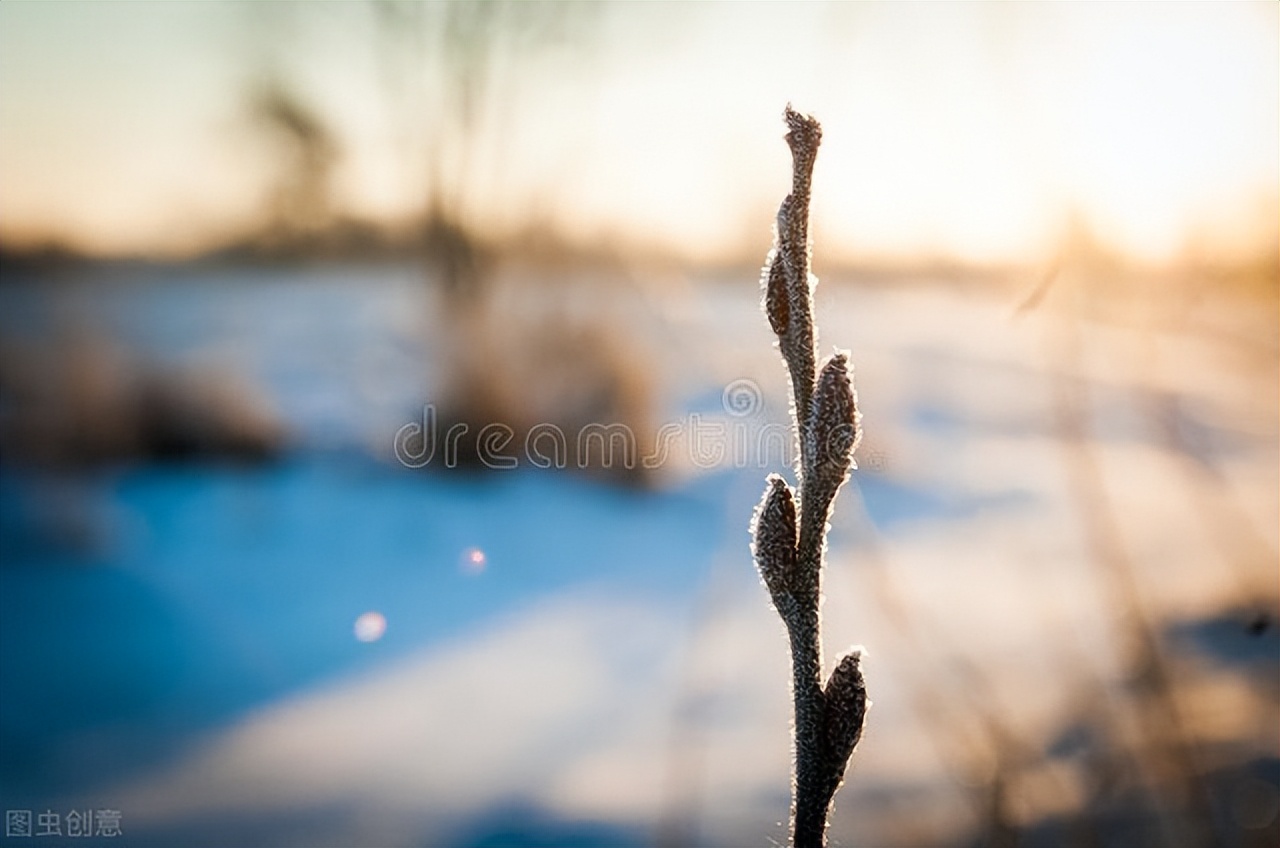 六年没怀上宝宝怎么回事呢,六年都没怀孕要怎么办呢