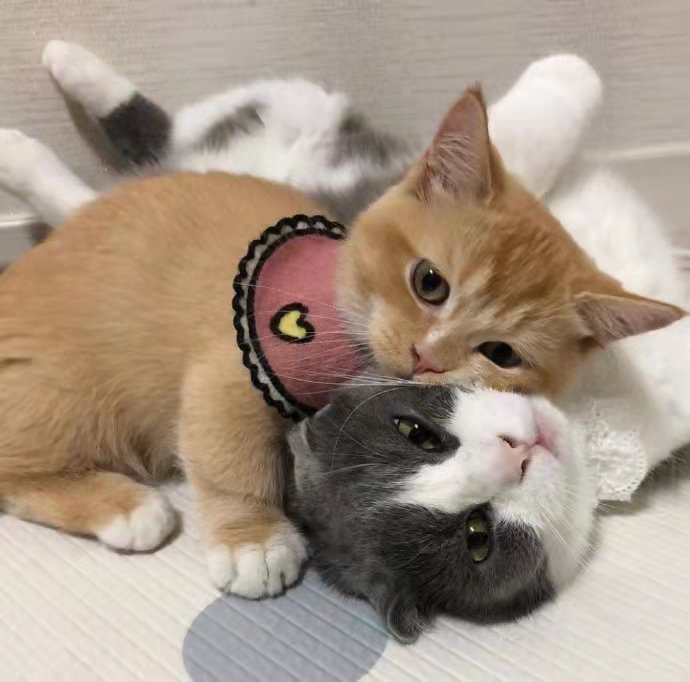 高级感文案小众惊艳短文,小众惊艳高级的朋友圈文案