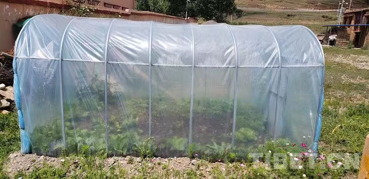 在素冬里，携一份勤劳，品一季安然