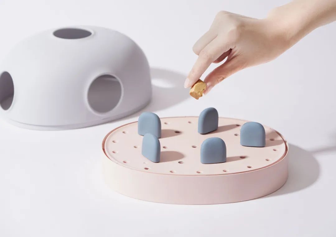 2022年iF设计奖：宠物用品类