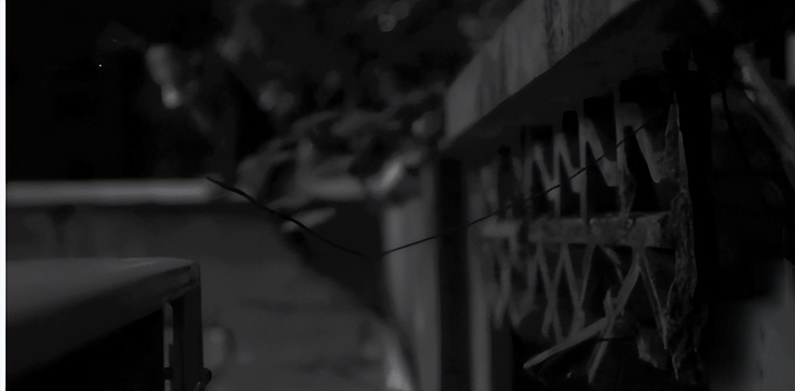 金店被盗真相揭秘视频,金店被盗真相大白