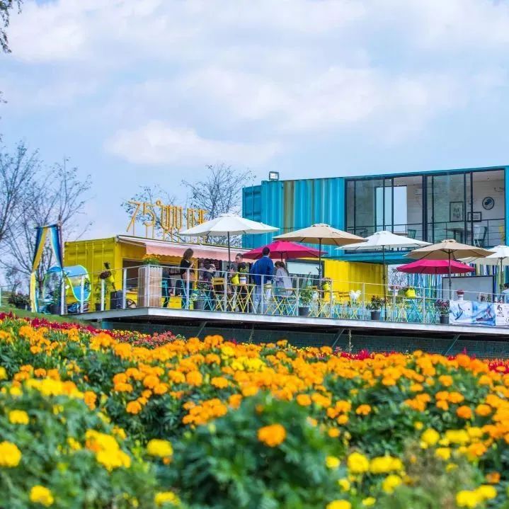 花田小镇爱丽丝,8000亩花田小镇