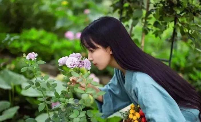 李子柒视频最新外网评论,李子柒最新视频外网评论